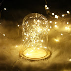 100 LED String Light Copper Wire - Warm White