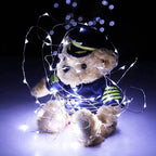 20 LED Silver Copper Fairy Lights - Battery Operated