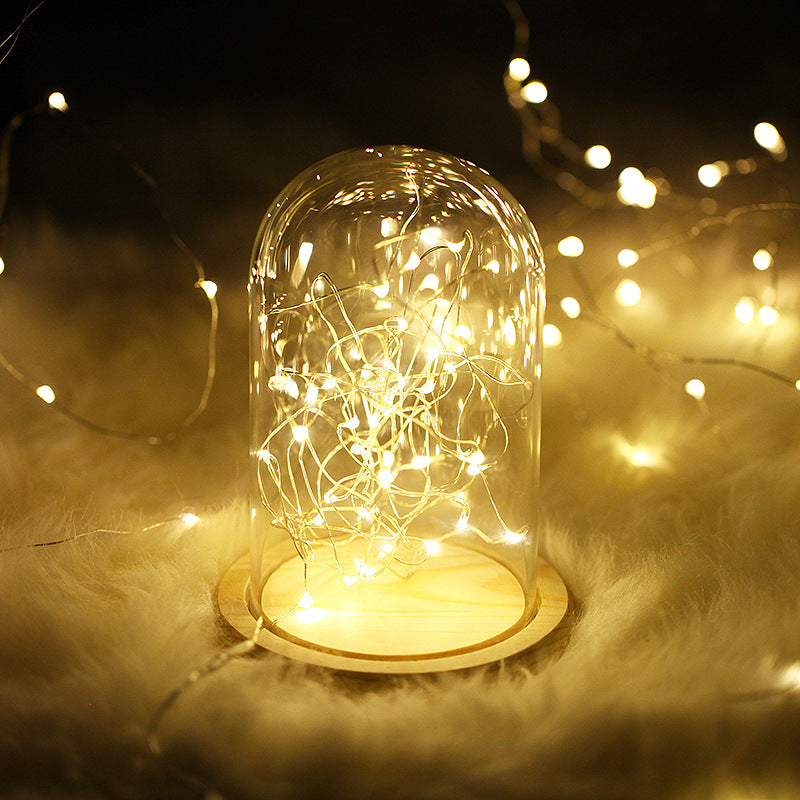 20 LED Silver Copper Fairy Lights - Battery Operated