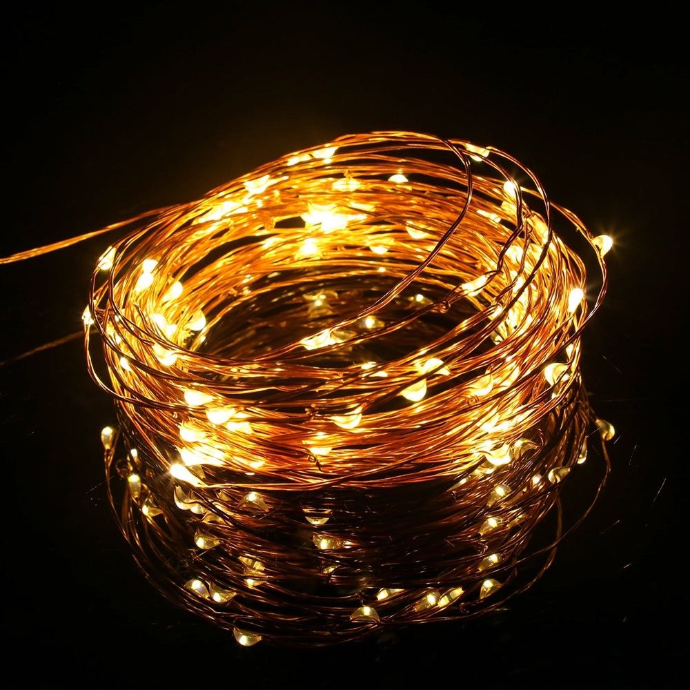 Warm White Copper Wire Fairy String Lights
