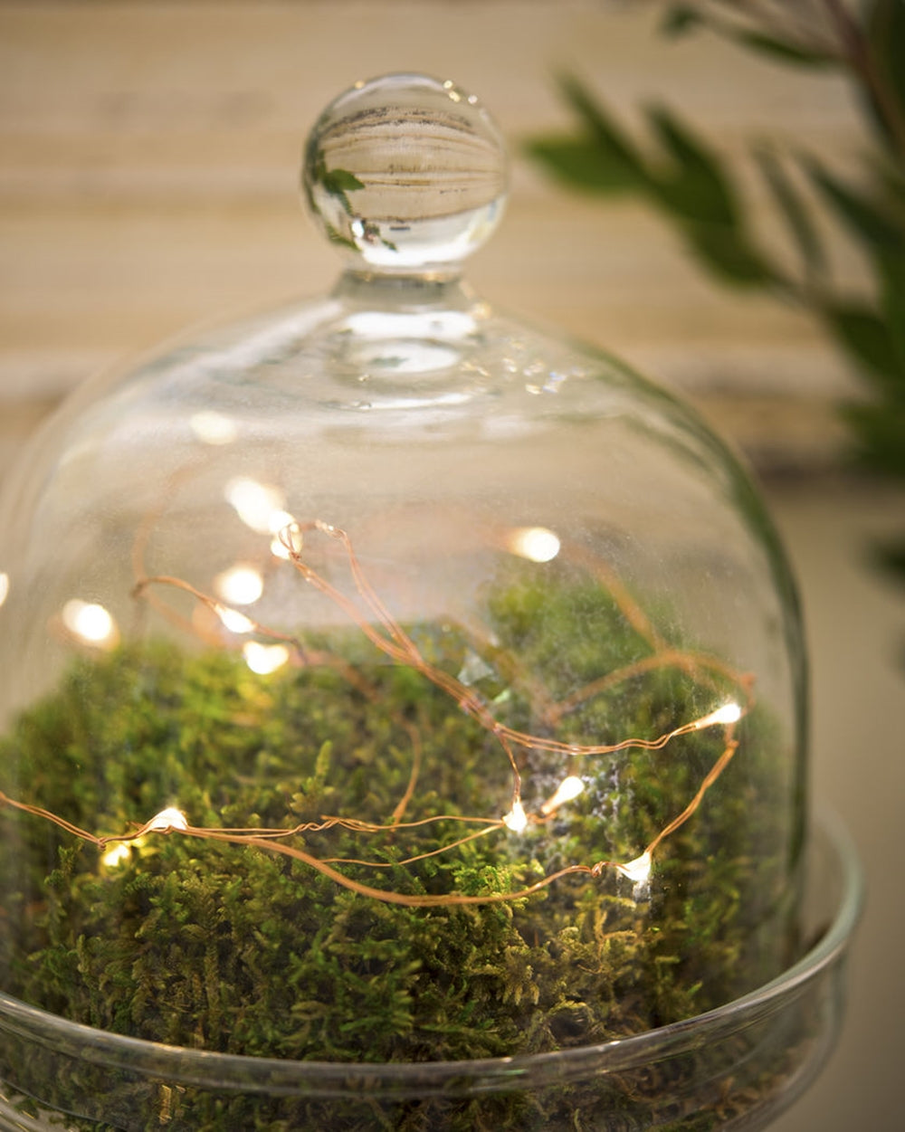 Warm White Copper Wire Fairy String Lights