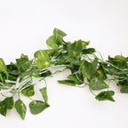 66LED Ivy Leaf Curtain String Lights 3ft x 5ft Battery Operated Warm White