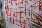 10 LED Battery Operated String Lights with Chili Pepper - Warm White