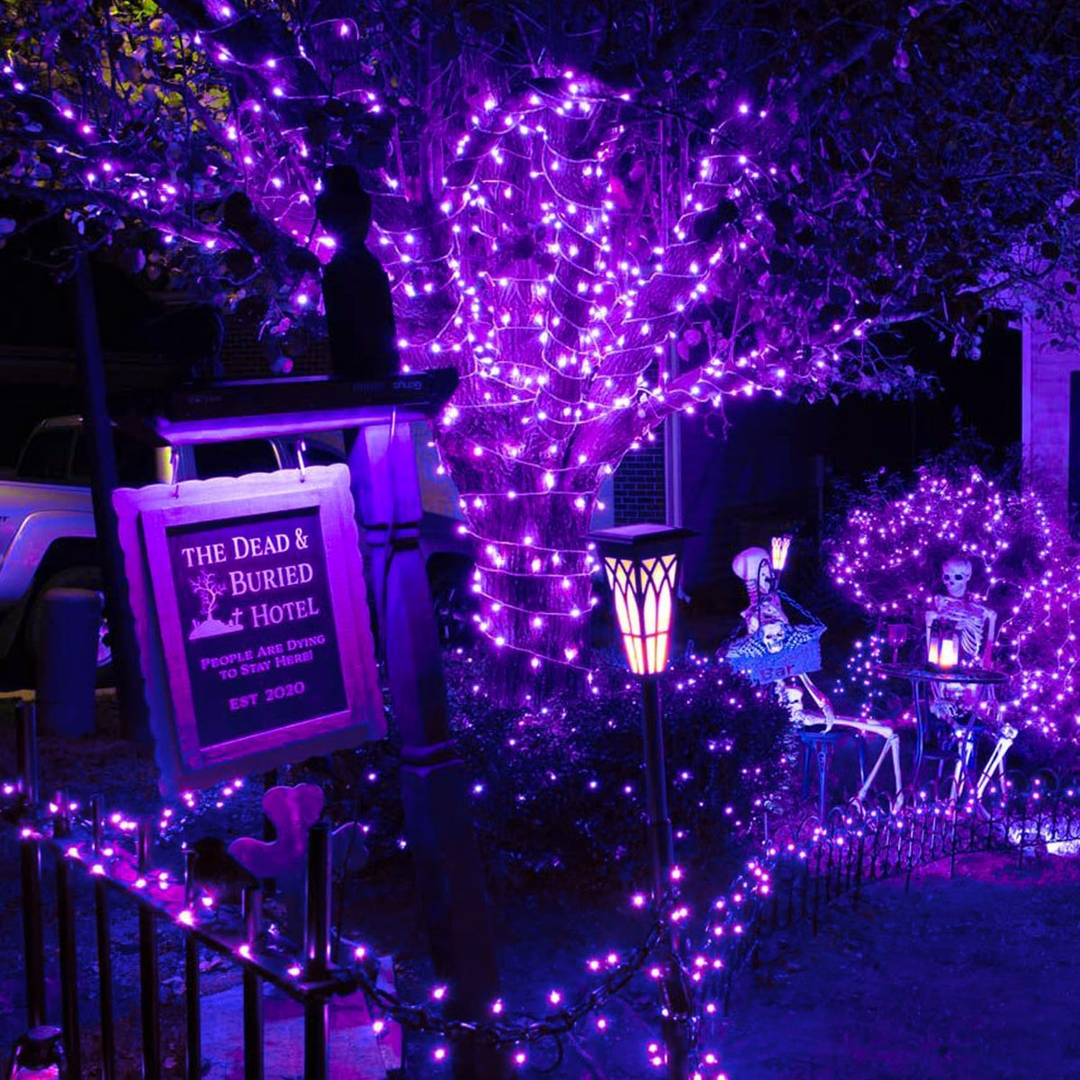 30 LED String Light Battery Operated - Black Wire - Purple