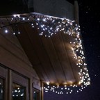 240 LED Cluster Lights Black Wire - White