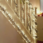 240 LED Cluster Lights Black Wire - Warm White