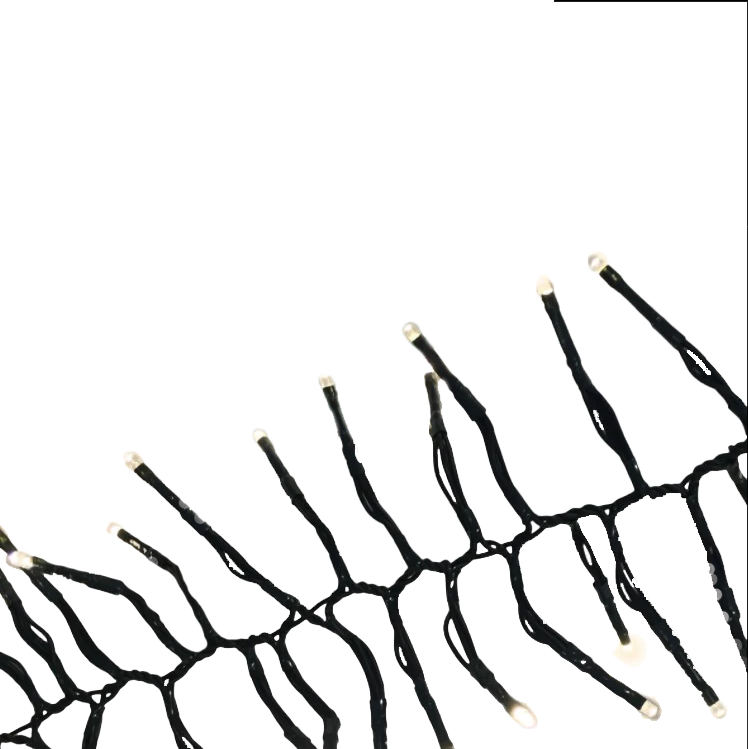 240 LED Cluster Lights Black Wire - Warm White