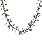 240 LED Cluster Lights Black Wire - Warm White