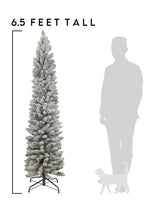6.5 ft Pencil Snow Flock Tree