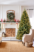 Pre-Lit Salem Pine Christmas Tree Full Holiday Décor Warm White Lights with Metal Stand 6FT