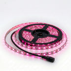 Strip Light 300 LED 5M Waterproof - Pink