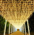 96 LED Indoor Outdoor Waterproof Curtain Solar Power Lights