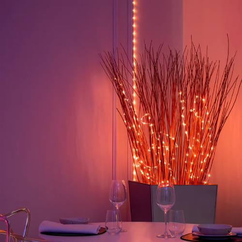 100 LED 32ft RGB Plug In with Remote