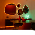 100 LED 32ft RGB Plug In with Remote
