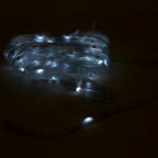 100 LED 32ft RGB Plug In with Remote