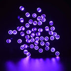 30 LED String Light Battery Operated - Black Wire - Purple