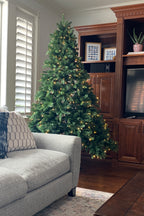 Prelit Spruce Tree