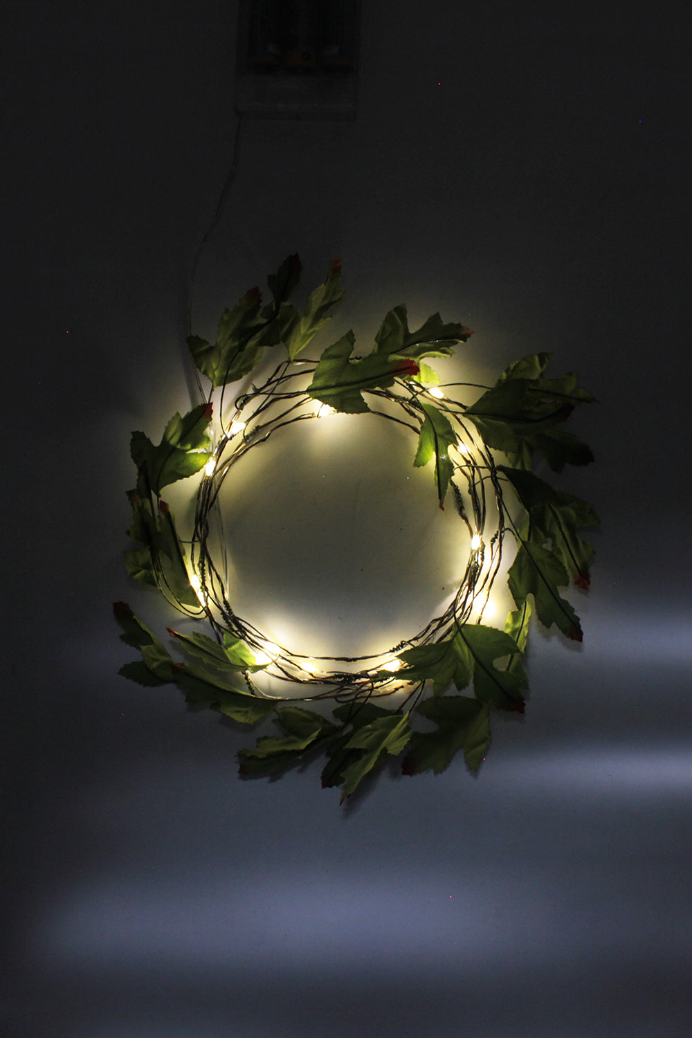 Wall Decor Idea Gold Iridescent Glitter Fern Fairy Light 20 LED