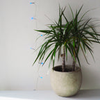 Perfect Room Decor 40 LED Clear Cable String Lights - Battery Operated