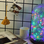 Magic Vibe 30 LED Clear Cable String Lights - Battery Operated
