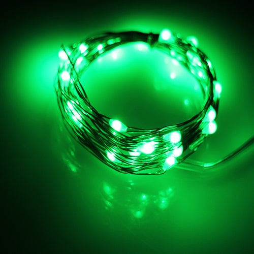 Holiday Green 20 LED Silver Copper Fairy Lights - Battery Operated