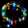 Playful Colors 20 LED Silver Copper Fairy Lights - Battery Operated