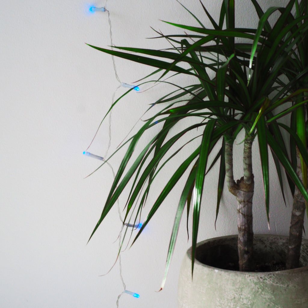 Christmas Room Decor 30 LED Clear Cable String Lights - Battery Operated
