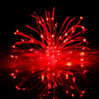 Mystery Red Theme Silver Copper String Fairy Lights - Plug in