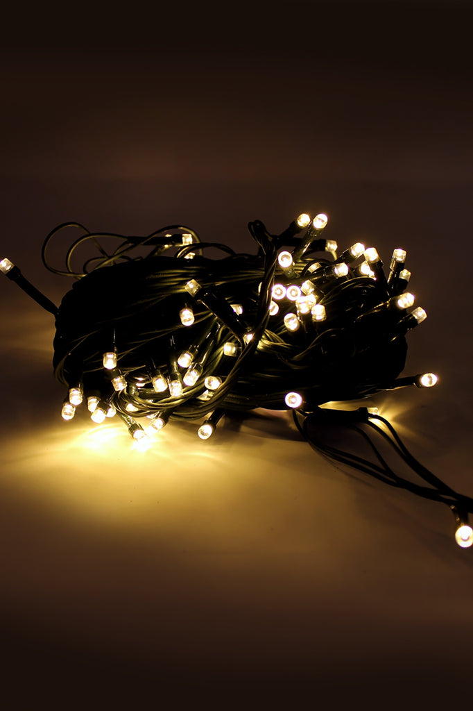 Magic 40 LED String Light with Green Wire - Battery Operated