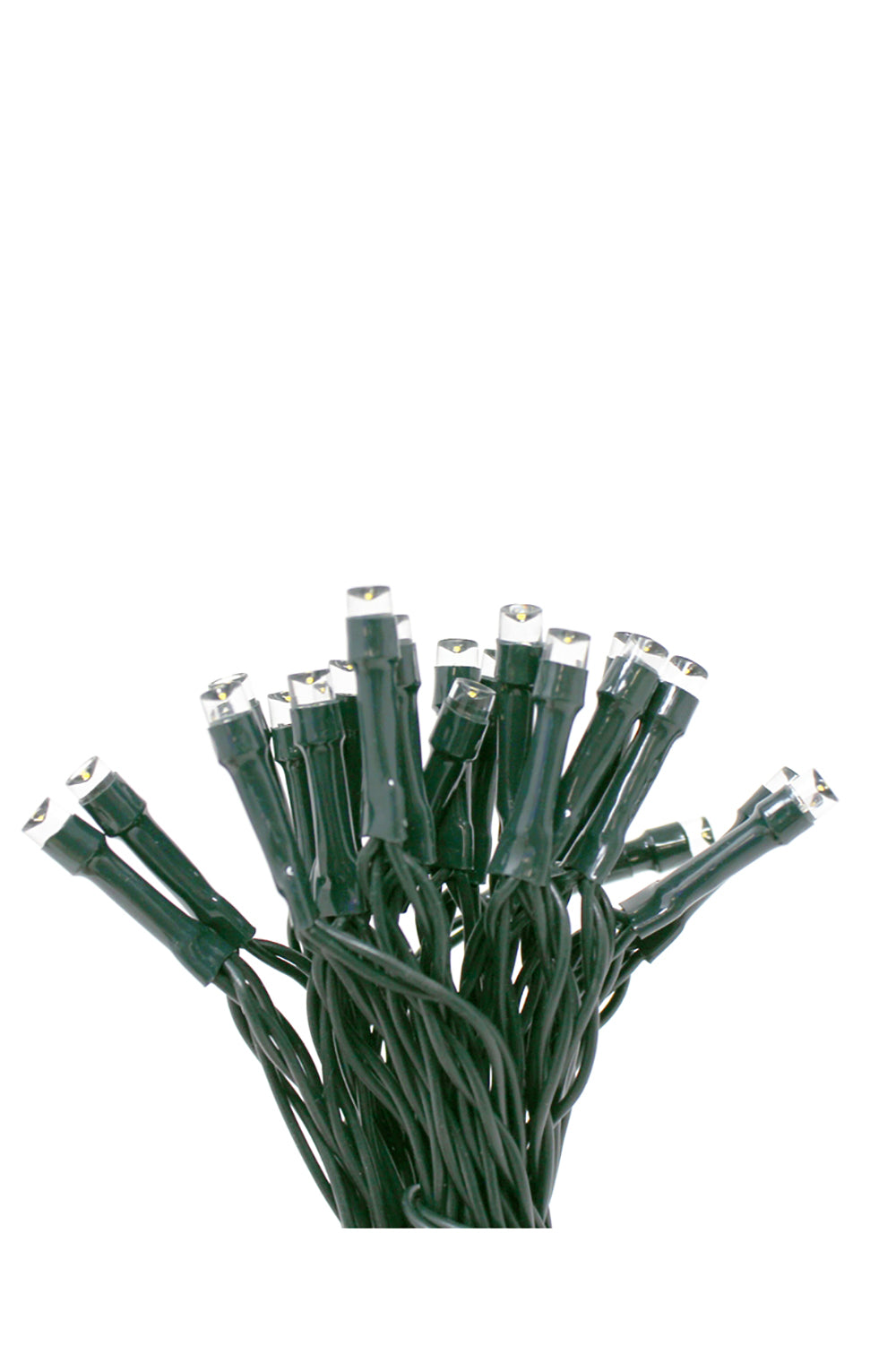 Holiday Decoration 40 LED String Light with Green Wire - Battery Operated