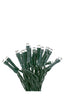 Holiday Decoration 40 LED String Light with Green Wire - Battery Operated