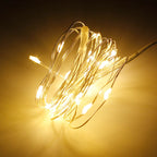 Golden Theme 20 LED Silver Copper Mini String Light - Batteries Included