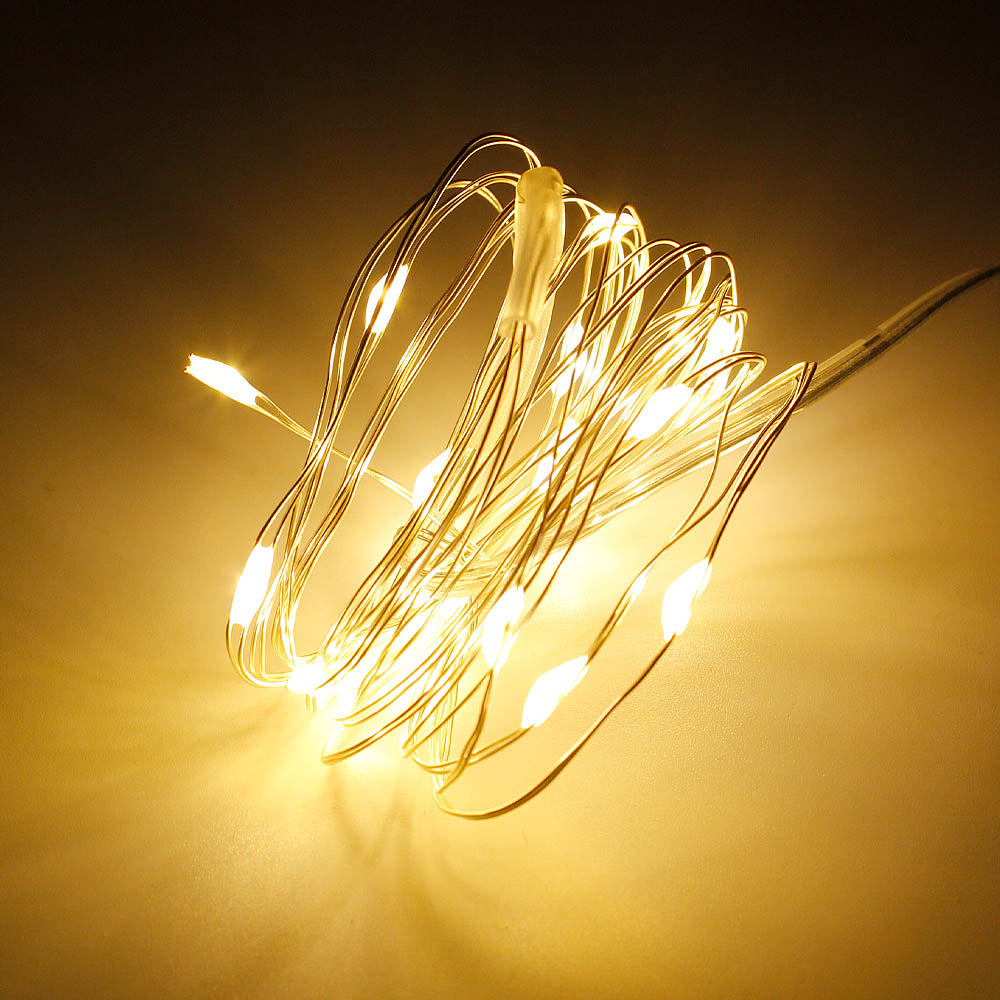 Golden Theme 20 LED Silver Copper Mini String Light - Batteries Included