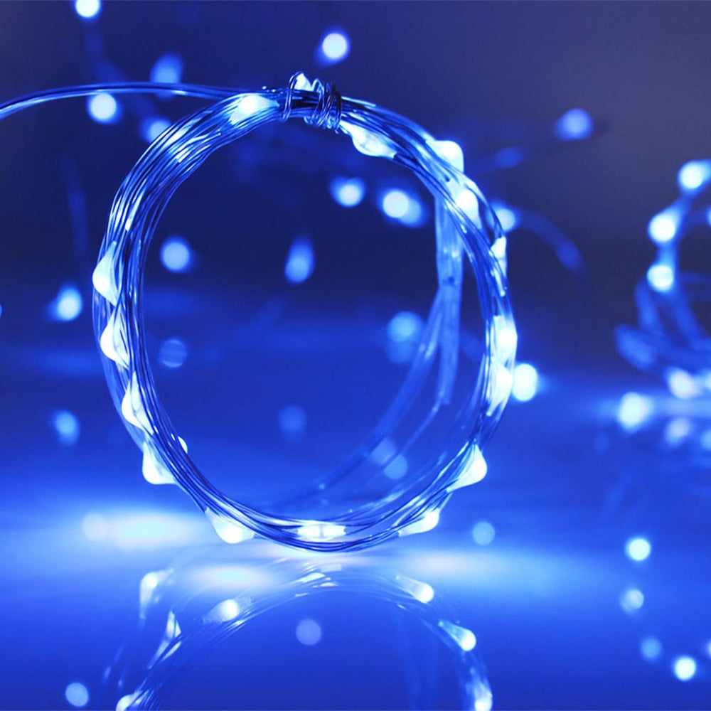 Frozen Blue 20 LED Silver Copper Mini String Light - Batteries Included