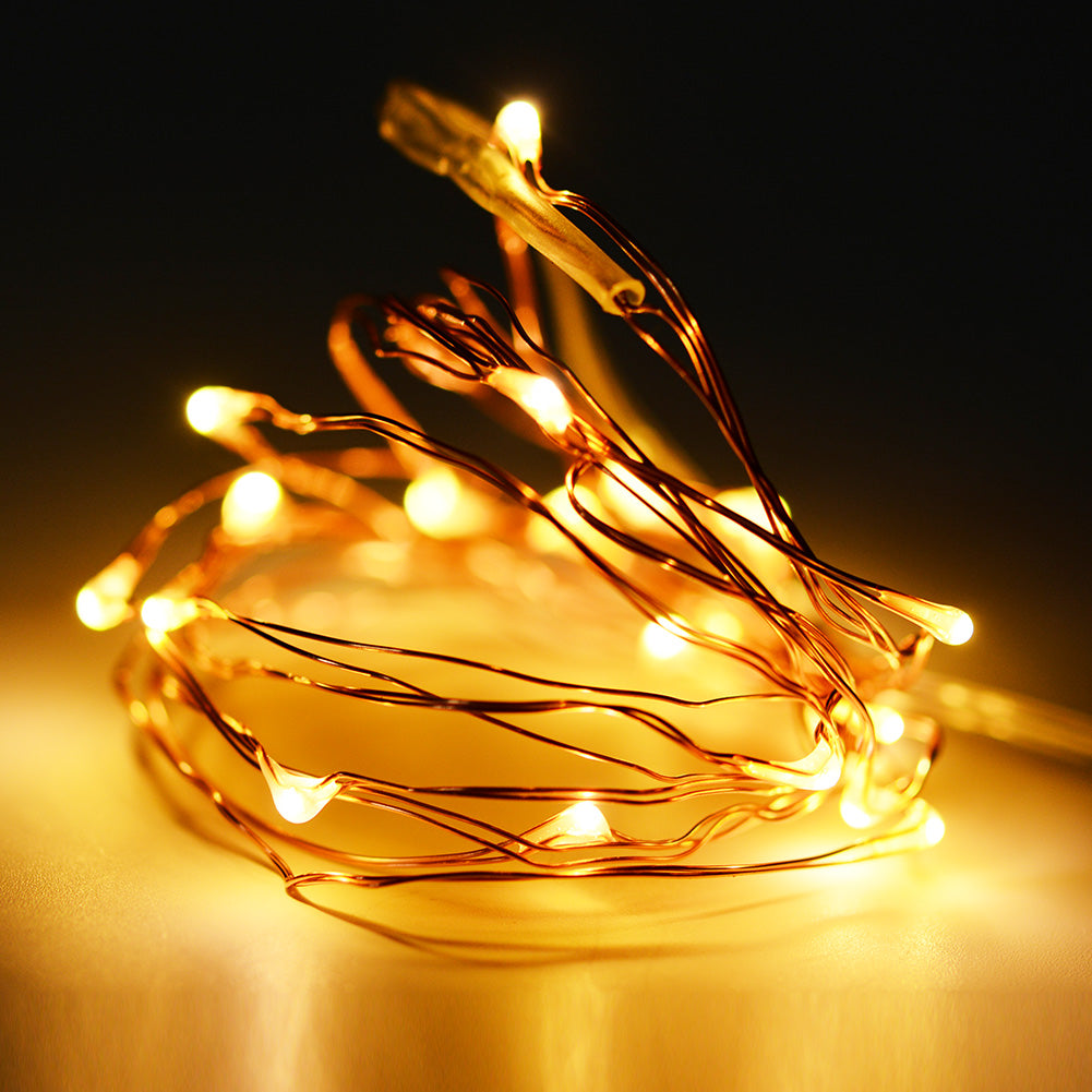 Golden 20 LED Silver Copper Mini String Light - Batteries Included