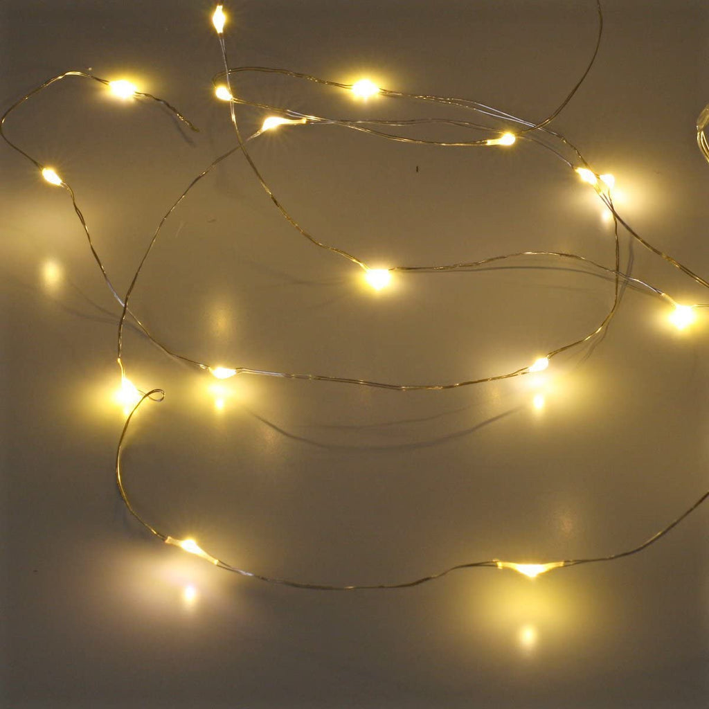 Golden Theme 50 LED Silver Copper Fairy Lights - Battery Operated