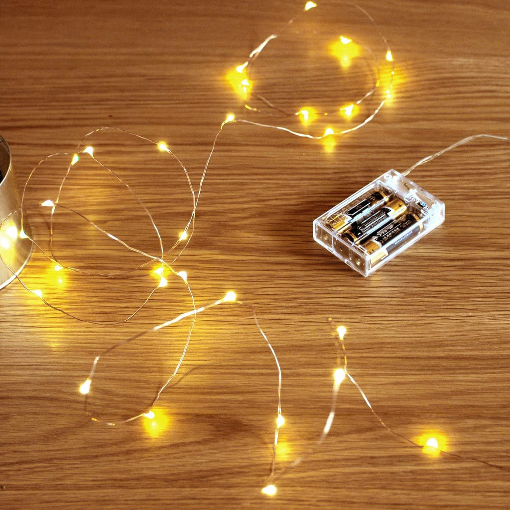 Holiday Home Decor 50 LED Silver Copper Fairy Lights - Battery Operated
