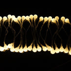 Golden Theme 50 LED 16ft Frosted Globe String Lights with Remote