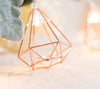 Real Diamond 10 LED Rose Gold  String Fairy Lights - Battery Operated