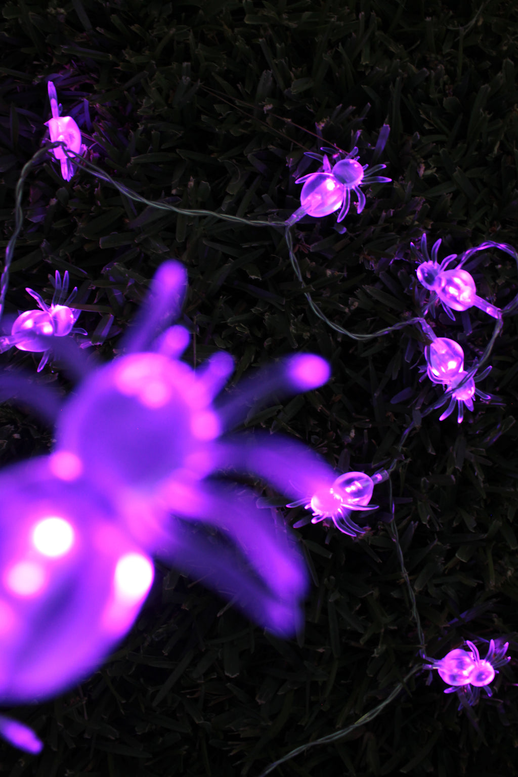 10 LED Fairy Light Clear Spider Purple Light - Battery Operated