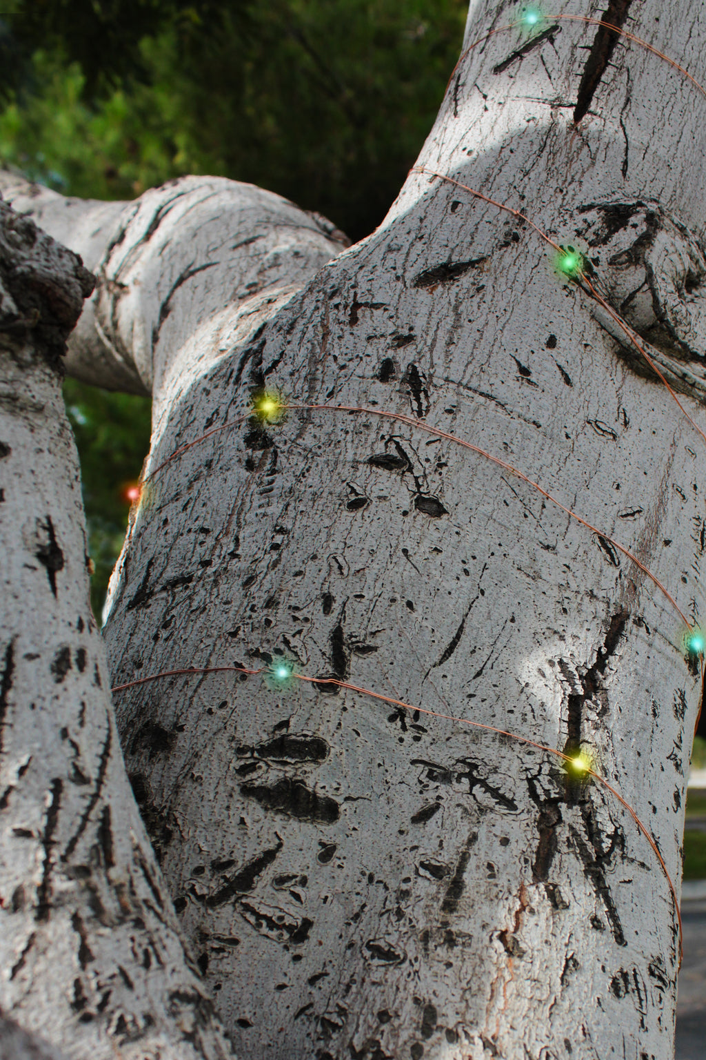 Holiday Home Decor Solar Powered 200 LED 72ft Copper Wire Fairy Light 72' - 8 Light Modes