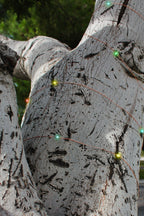 Holiday Home Decor Solar Powered 200 LED 72ft Copper Wire Fairy Light 72' - 8 Light Modes