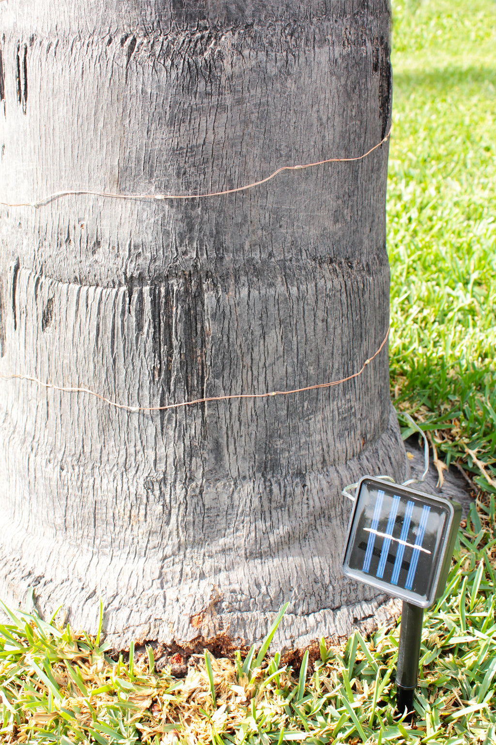 Easy to Install Solar Powered 100 LED Copper Wire Fairy Light 32'