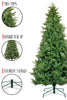 910 Tips 41' Diameter Northern Shasta Fir Full Christmas Tree