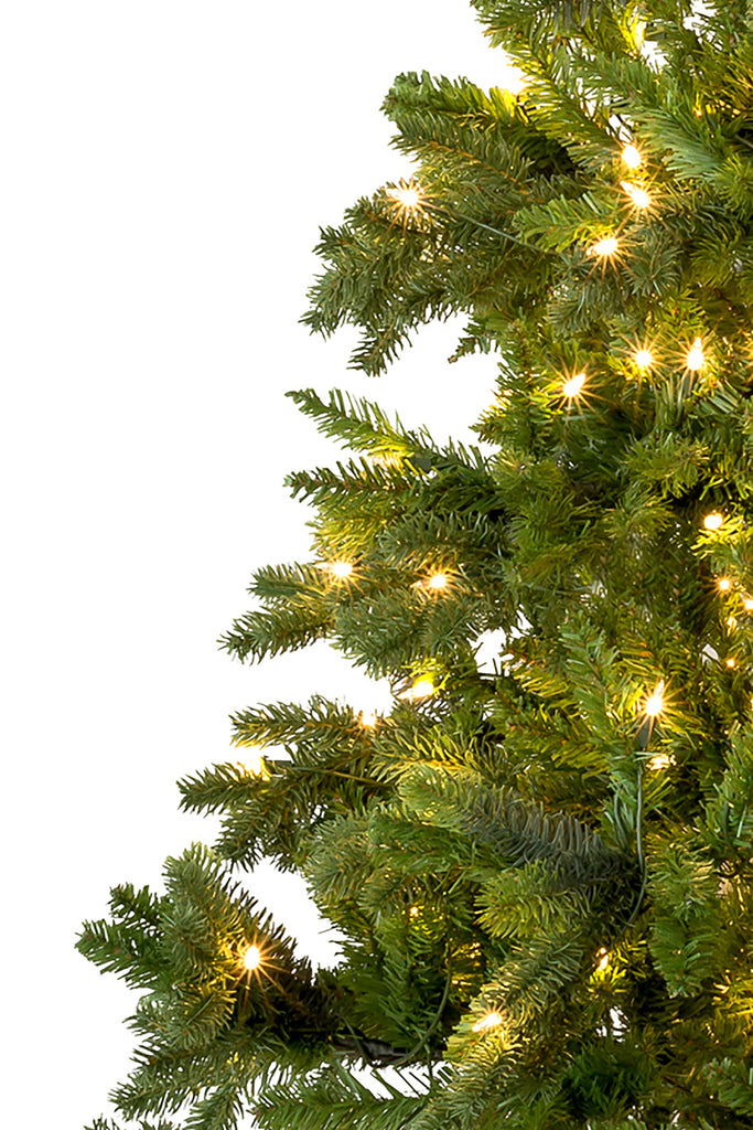 Christmas Spirit Prelit Calgary Spruce Tree with Warm White Lights