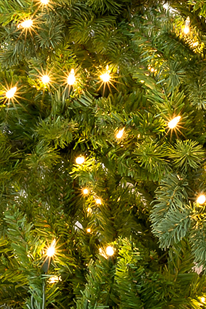 Green Prelit Calgary Spruce Christmas Tree with Warm White Lights