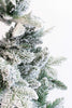 Real Christmas Snow Flocked Alpine Fir Tree