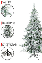 569 Tios and 38' Diameter Snow Flocked Alpine Fir Christmas Tree