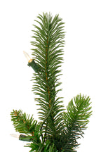 6ft Prelit Tapered Salem Christmas Pine Tree 1145 Tips, 350 Lights 