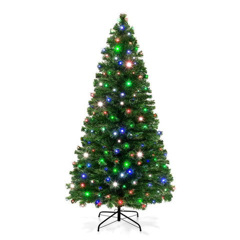 Popular Christmas Trees